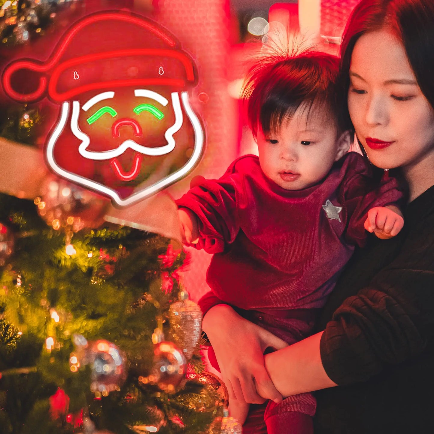 Santa Claus/De Kerstman