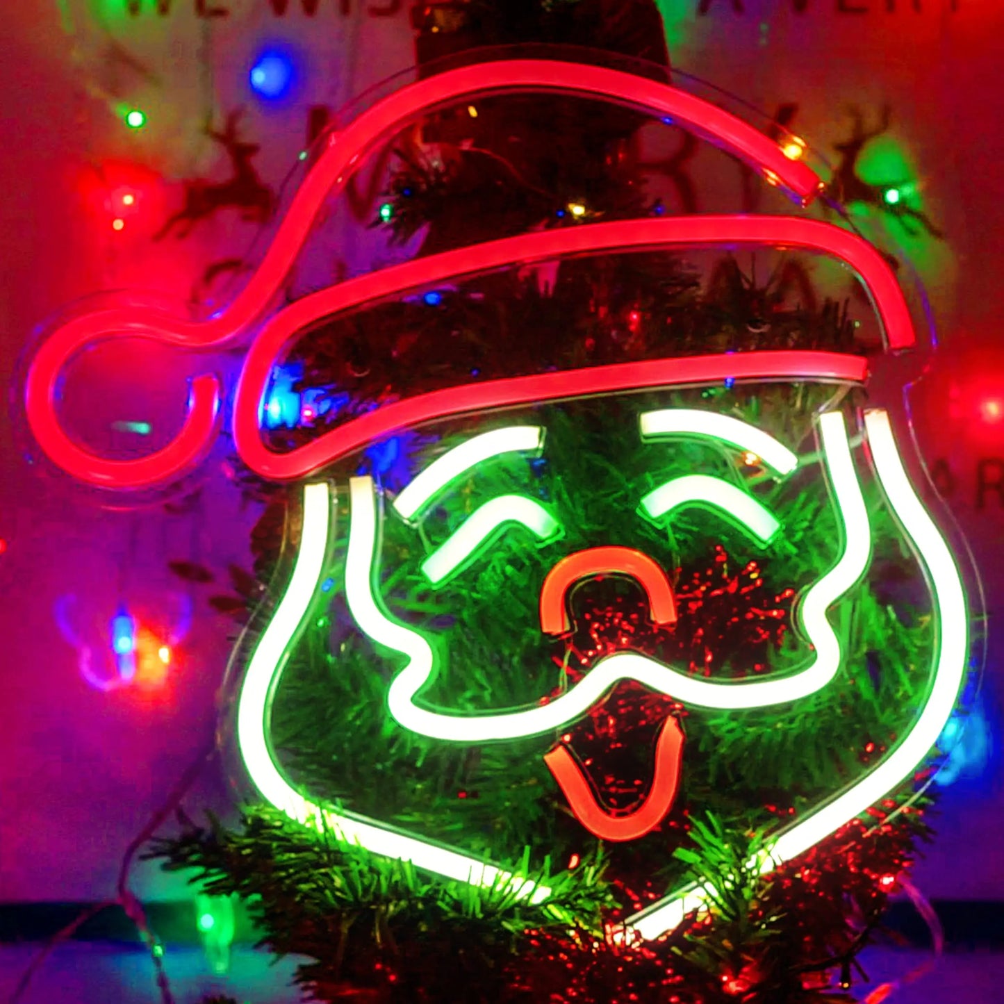 Santa Claus/De Kerstman